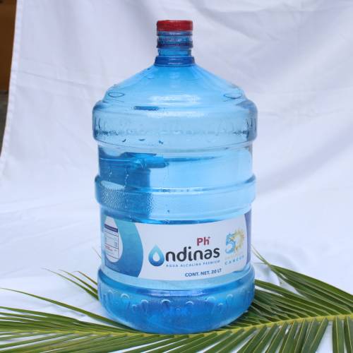 GFON 11 L PH+