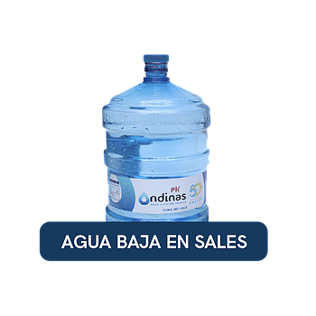 GFON BS 20 L
